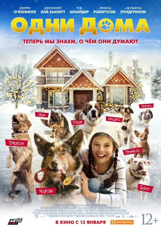Обложка фильма Одни дома