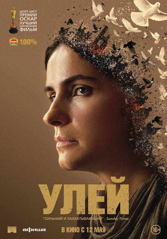 Фильм Улей Обложка фильма Улей