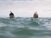 Фото из фильма Открытое море: Монстр глубины