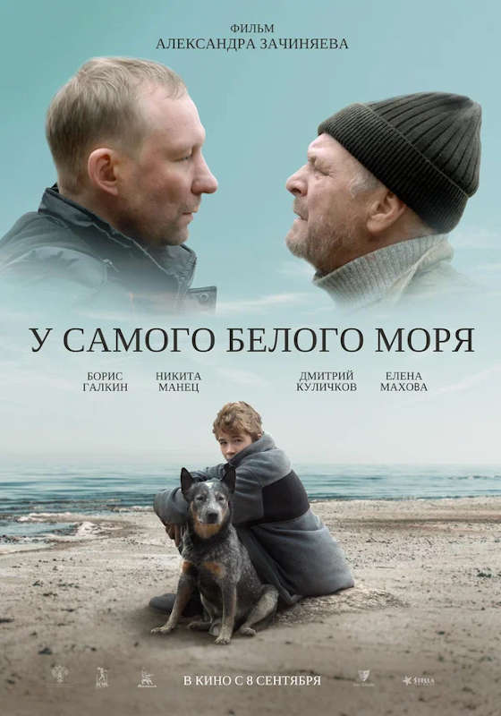Обложка фильма У самого Белого моря