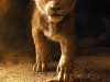 Фото из фильма Король Лев