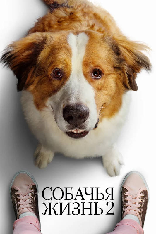 Обложка фильма Собачья жизнь 2