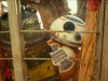 Фото из фильма Звёздные Войны: Скайуокер. Восход